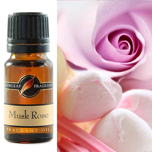 Musk Rose Fragrance Oil